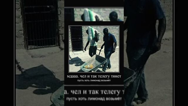 мемы | дневная подборка мемов | смешные мемы | видео мемы | смешнве видео | смешные приколы |#79 смотреть онлайн