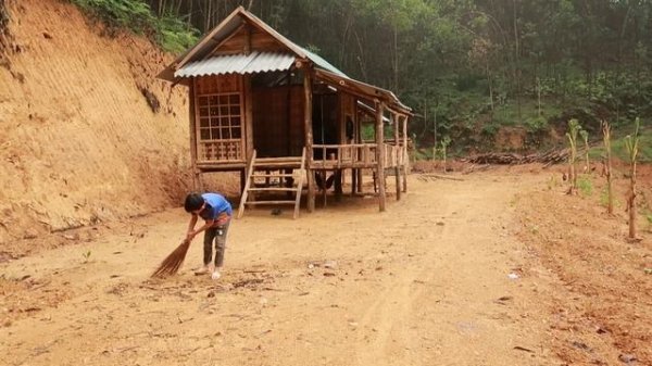 Green forest life - Harvest banana garden for sale, make duck cages - forest life Building wild lif