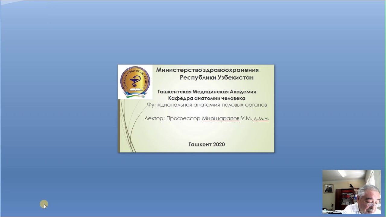 Анатомия половых органов смотреть онлайн