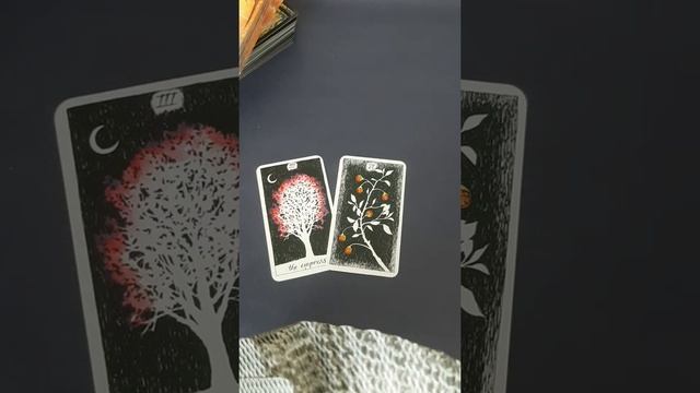 ЭТО ВСЕ ДЛЯ ВАС🎁ЧТО СКОРО СЛУЧИТСЯ ПО СУДЬБЕ❗ смотреть онлайн