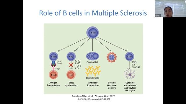 AMSN 2020 Summer MS Lecture Series - Dr. Samira Ghorbani - Immunology In MS