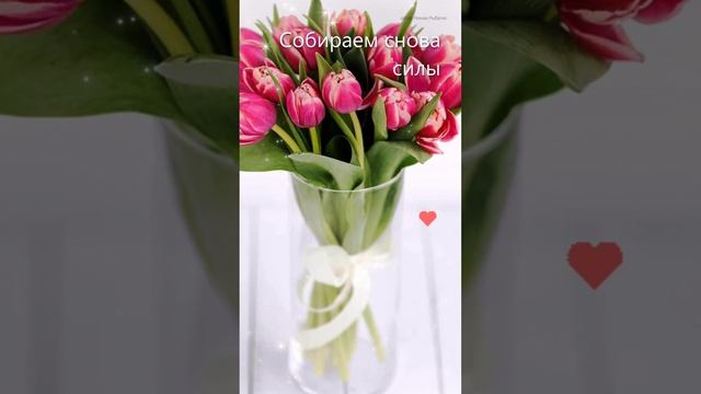 "Доброе утро" 192 смотреть онлайн