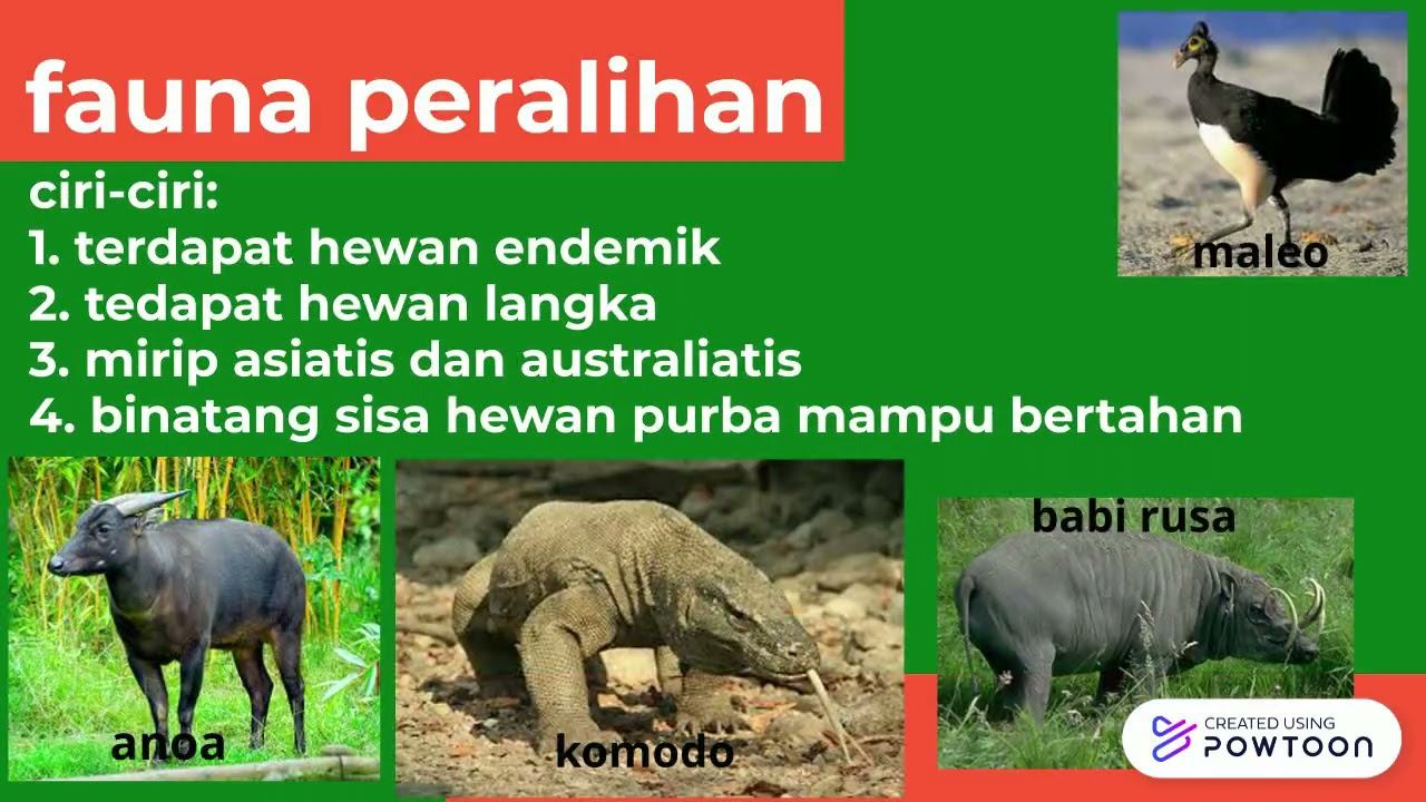 sebaran flora dan fauna Indonesia смотреть онлайн