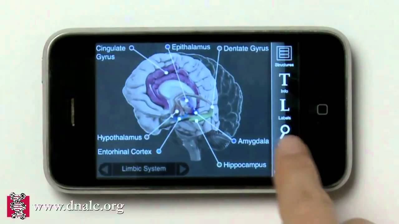 3D Brain from Genes to Cognition Online (www.g2conline.org) смотреть онлайн