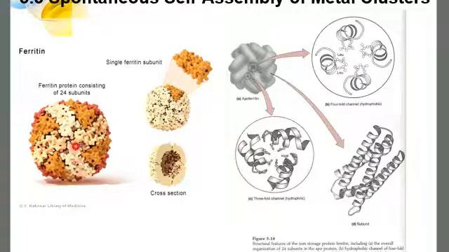 Bioinorganic(Lippard) Ch. 5 2nd part смотреть онлайн