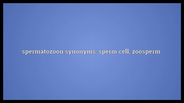 Spermatozoon Meaning смотреть онлайн