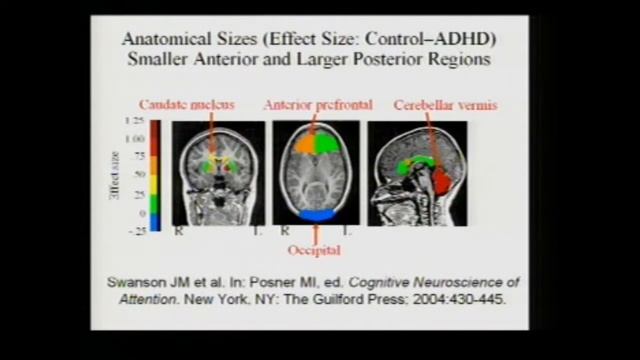 The Biological Basis of ADHD смотреть онлайн