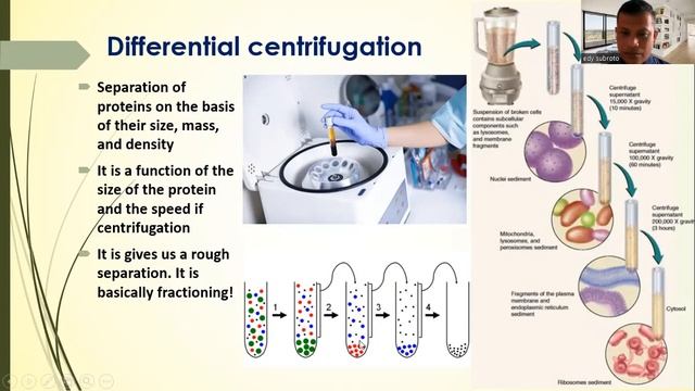 EKSTRAKSI DAN PEMURNIAN PROTEIN | TEKNOLOGI PROSES PROTEIN LANJUT смотреть онлайн