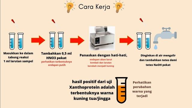 UJI KUALITATIF PROTEIN DAN ASAM AMINO смотреть онлайн