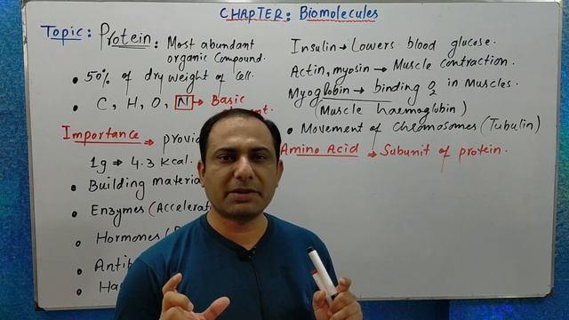 Protein | Amino Acid Structure | Di-peptide formation | Peptide bond смотреть онлайн