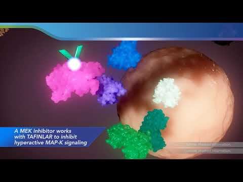 TAFINLAR® (dabrafenib) + MEKINIST® (trametinib) Mechanism Of Action For Advanced Melanoma