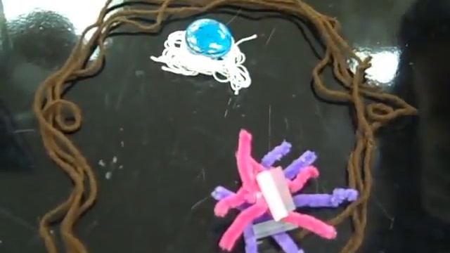 Interphase and Mitosis Lab.wmv смотреть онлайн