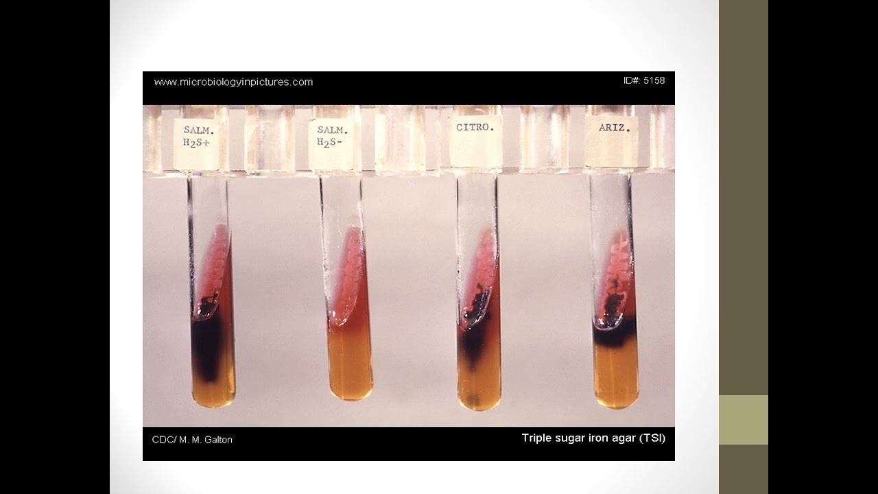 Thought-Provoking Lectures