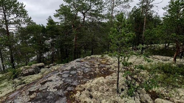 Поход 2024, ч. 4.mp4 смотреть онлайн