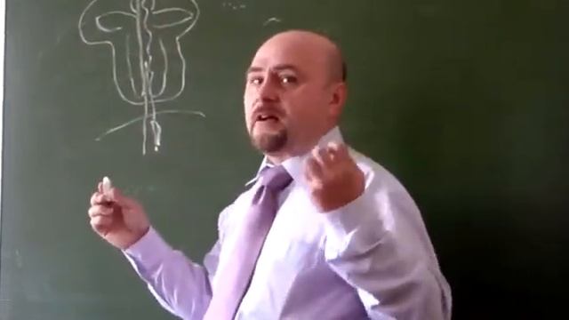 Доклад на семинаре по грв в Новосибирске 2009 г.avi смотреть онлайн