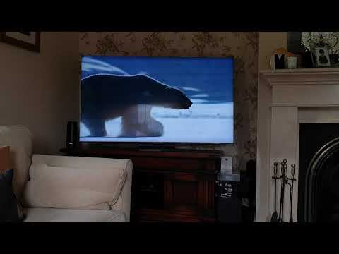 Samsung 2020 Q900TS/Q950TS 65 inch - Anti glare review. смотреть онлайн