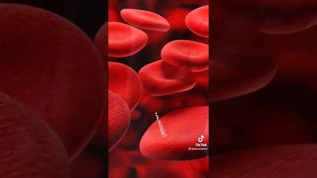 сколько процентов воды находится в человеке? #факты смотреть онлайн