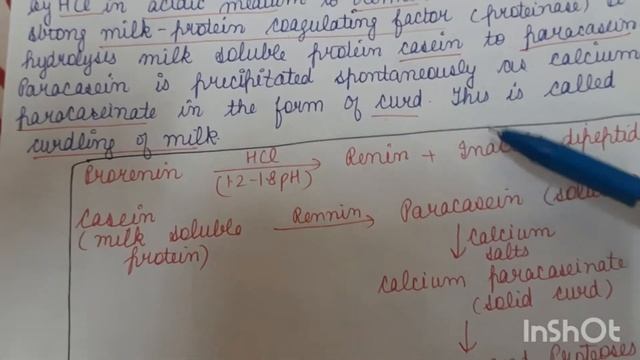 Hydrolysis of proteins смотреть онлайн