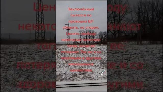 Побег по проводам из Семилукской ИК-1 смотреть онлайн