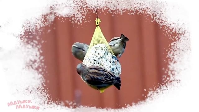 Вплив музики на розвиток мозку і мови дитини/Влияние музыки на развития мозга и речи ребенка