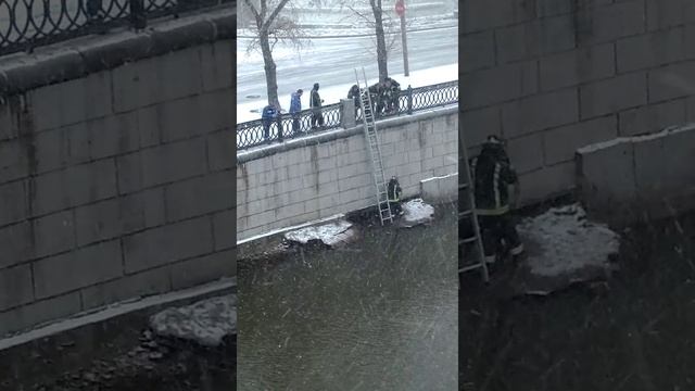 Спасение человека в день спасателя