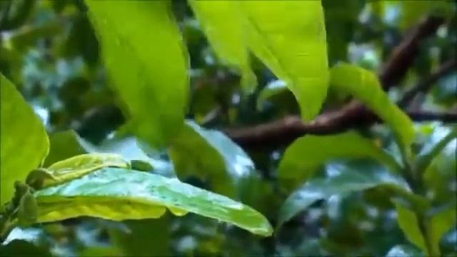 КОНЕЦ ВРЕМЕНИ - МОИ НАБЛЮДЕНИЕ ОТ СЛОВА ГОСПОДА ИИСАИЛА смотреть онлайн