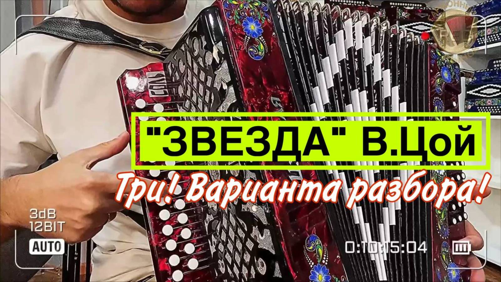 ЗВЕЗДА В. Цой (КИНО) разбор на гармони! #гармонь #купитьгармонь #цой #кино #разбор #гармошка смотреть онлайн