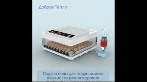Инкубатор для яиц автоматический 220/12v