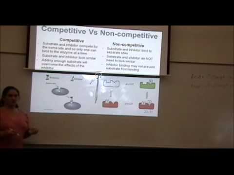 Organic Chemistry Chapter 19: Enzymes Part 5