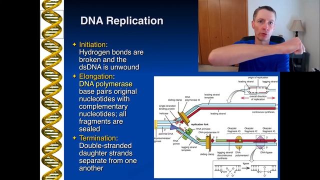 Module 3-1 Lecture: DNA Replication