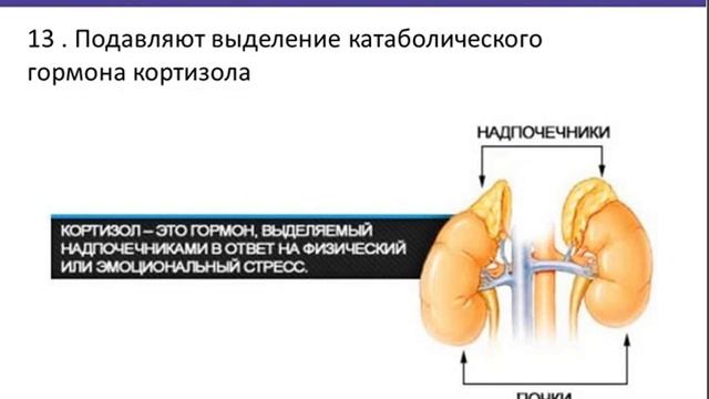 ОМЕГА 3 ДЛЯ ЗДОРОВЬЯ Е Щедова смотреть онлайн