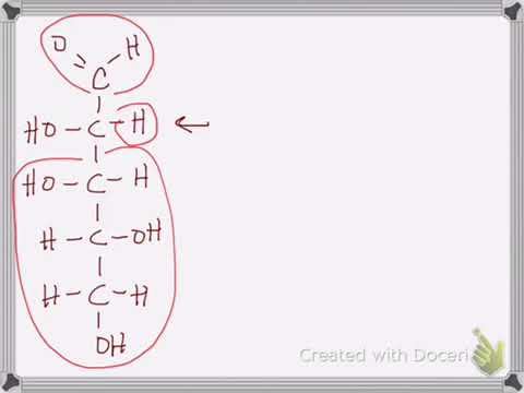 Carbohydrates! The Chiral Carbons of Sugars смотреть онлайн