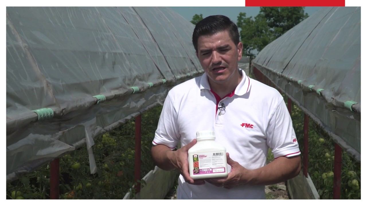 FMC: Insecticidul Benevia pentru combaterea dăunătorilor смотреть онлайн
