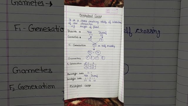 Monohybrid cross смотреть онлайн