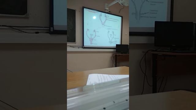 Половая развитие смотреть онлайн