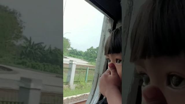 Amr Zaki Jalan Jalan