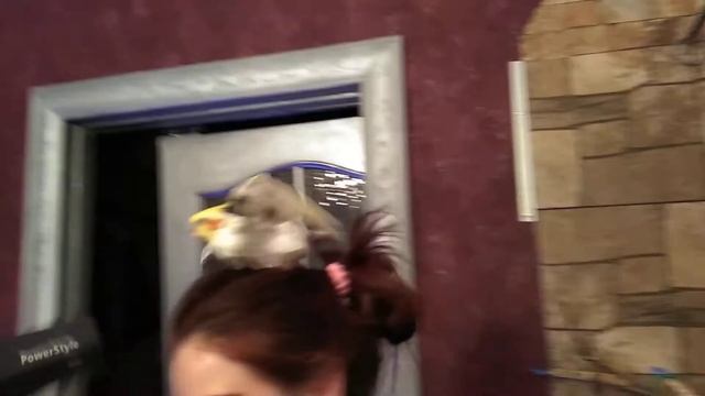 Корелла після купання. смотреть онлайн