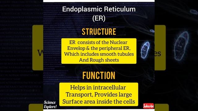 Cell Organelles:- It's Structure & Function смотреть онлайн