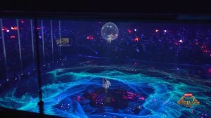 Выступление русско-китайского дуэта акробатов в Шанхае на шоу "Tmall 11/11 Shopping"