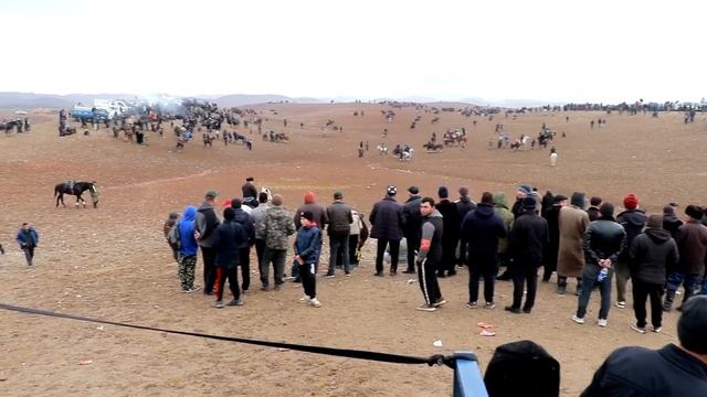 Улоки Теракли 30.11.2024