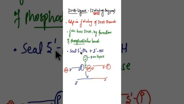 Role of Ligase in recombinant DNA technology|What is Ligase #biotechnologyprinciplesandprocesses смотреть онлайн