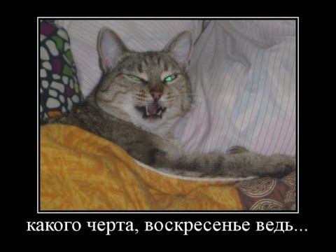 Воскресные истории. НЕОЖИДАННОЕ ПРЕДЛОЖЕНИЕ.