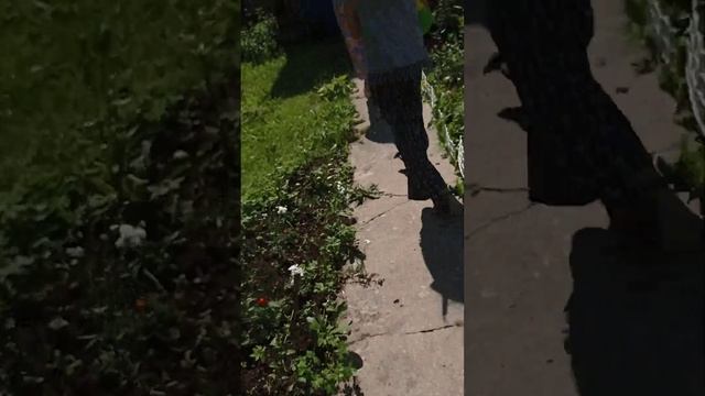 один час в комнате без еды без воды зато удобная обстановочка. ИКОЯ 117109