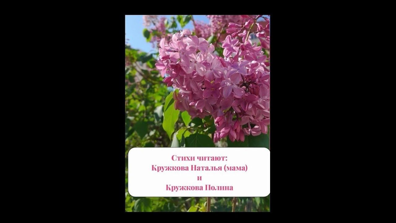Всекубанская акция семейного чтения «Читаем всей семьёй» смотреть онлайн