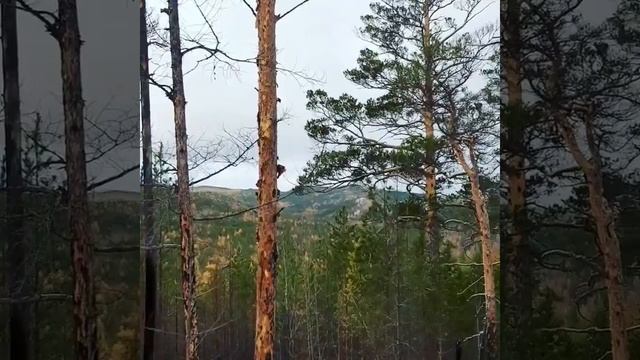 Тайга Русь смотреть онлайн