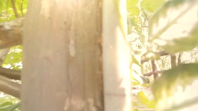 Оксана и Роман. 7 июня 2014 года в г.Ростове-на-Дону. смотреть онлайн