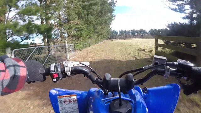 Yamaha Raptor 125 Test смотреть онлайн
