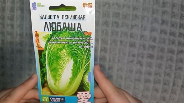 обзор овощных культур на 2025