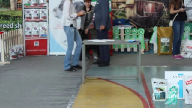 Mifril Indigo Child-ЛВ, BISs-4. смотреть онлайн