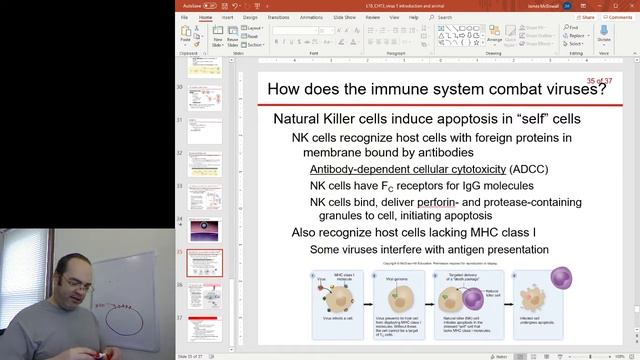 viruses 7 synthesis 3 and viral recognition смотреть онлайн